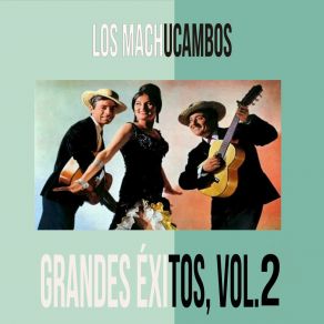 Los Machucambos - Grandes Éxitos, Vol. 2 album cover