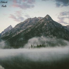 Feelz album cover