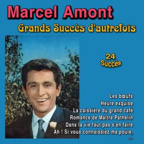 Grands Succès D'autrefois (24 Succès) album cover