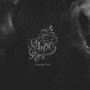Absolute Soul album cover