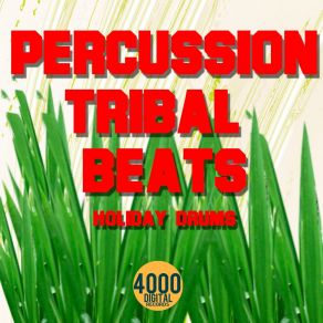 Percussion Tribal Beats album cover
