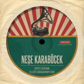 Dertli Kervan / Ellere Bırakmam Seni album cover