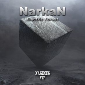 Electric Forest album cover