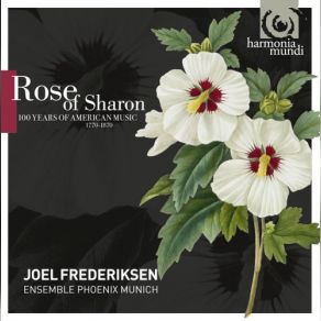 Rose Of Sharon album cover