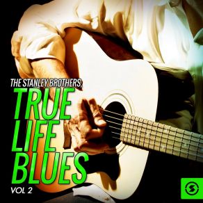 True Life Blues, Vol. 2 album cover