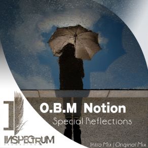 Special Reflections (Maxi-Single) album cover
