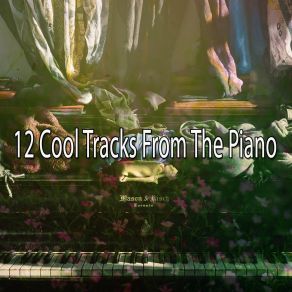 12 Cool Tracks From The Piano album cover