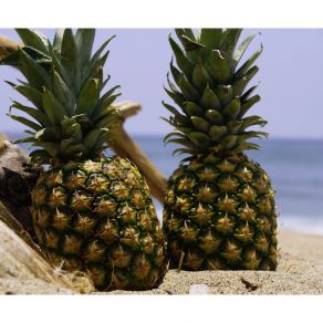 Summertime (Single) album cover