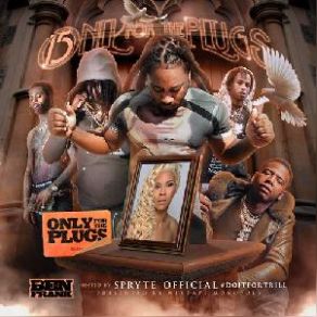 Only For The Plugs 15 album cover
