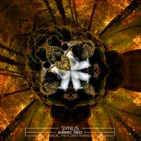 Burning Trees (Maxi-Single) album cover
