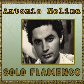 Solo Flamenco (CD1) album cover