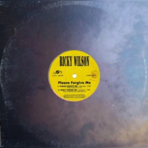 Please Forgive Me (Vinyl, 12'') album cover