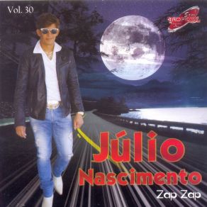 Zap Zap, Vol. 30 album cover