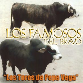 Los Toros De Pepe Vega album cover