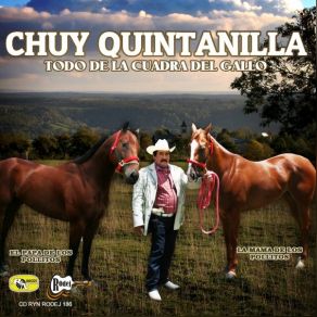 Todo De La Cuadra Del Gallo album cover