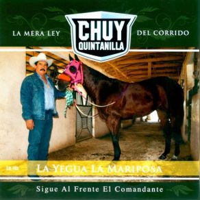 Sigue Al Frente El Comandante album cover