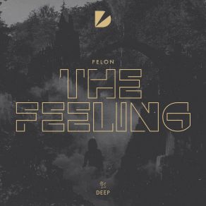 The Feeling (Edit) (Single) album cover