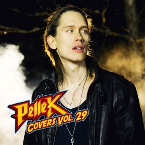 Covers, Vol. 29 album cover