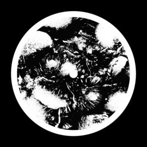 Eternal Lovers album cover