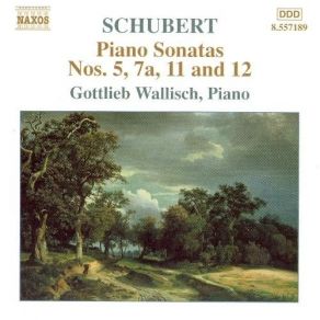 Schubert - Fragmentary Piano Sonatas - Gottlieb Wallisch album cover