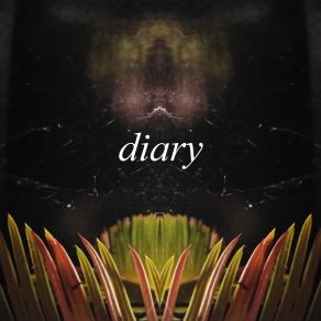Diary album cover