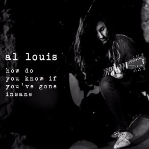 How Do You Know If You've Gone Insane album cover