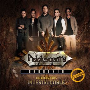 Indestructible Reloaded album cover