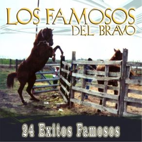 24 Exitos Famosos album cover