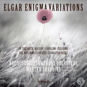 Elgar: Enigma Variations & Other Orchestral Works album cover