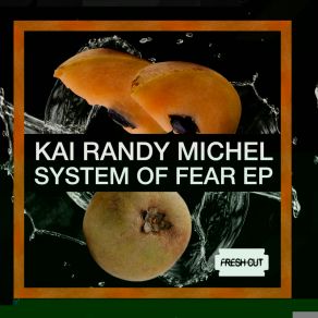 System Of Fear album cover