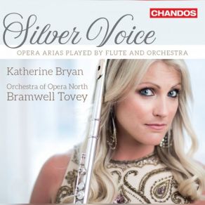 Silver Voice album cover
