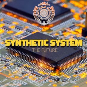 The Future (Maxi-Single) album cover