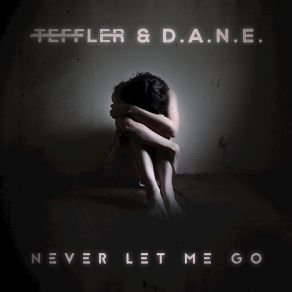 Never Let Me Go (Radio Edit) (Merry Christmas) (Maxi-Single) album cover