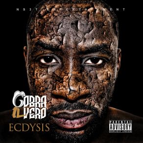 Ecdysis album cover