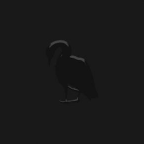 HANNU album cover