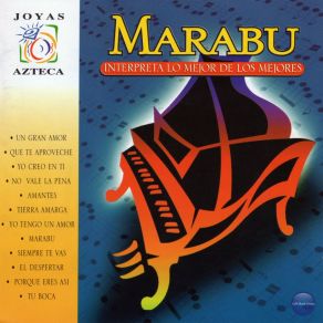 Interpreta Lo Mejor De Los Mejores album cover