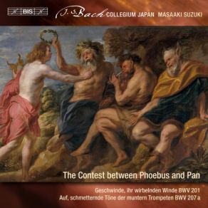 J. S. Bach: Secular Cantatas, Vol. 9 – The Contest Between Phoebus And Pan album cover