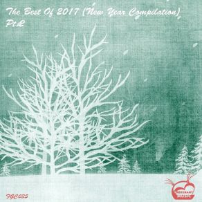 The Best Of 2017 (New Year Compilation), Pt. 2 album cover