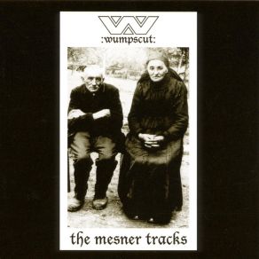 The Mesner Tracks album cover