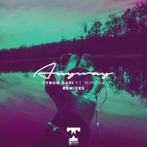 Anyway (Remixes) album cover