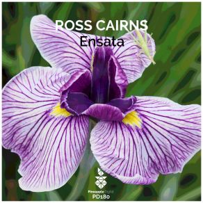 Ensata (Single) album cover