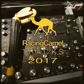 Racing Camel Tracks (Happy New Year) album cover