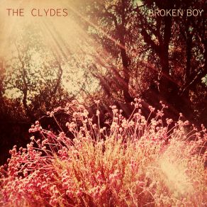 Broken Boy album cover