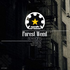 Streams album cover