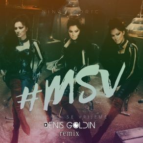 Mijenja Se Vrijeme (Denis Goldin Remix) album cover