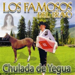 Chulada De Yegua album cover