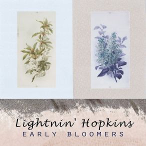 Early Bloomers album cover