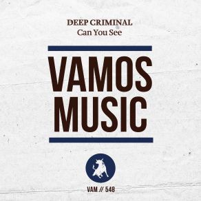 Can You See (Happy New Year) (Single) album cover
