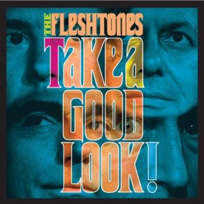 Take A Good Look album cover