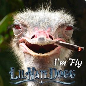 I'm Fly album cover